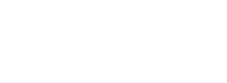 denaria logo 2